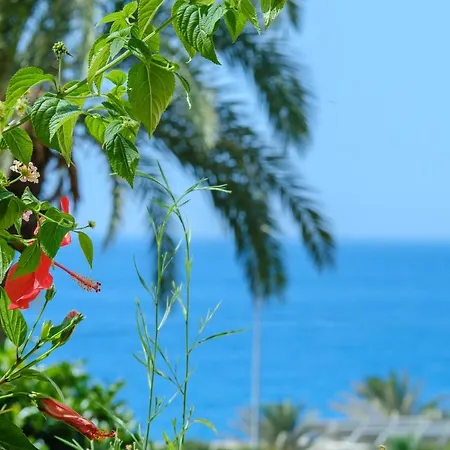 Beautiful Torreoceano 92, Pool, Access